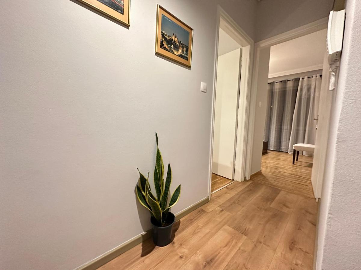 Ano Patisia Cosy Apartment II 雅典 外观 照片